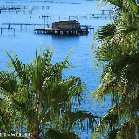 Les Pieds Dans L'Eau Apartment La Seyne-sur-Mer Exterior photo